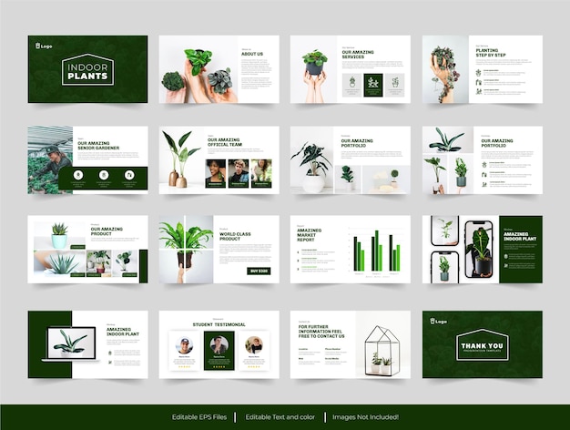 plant indoor or botanic   presentation template