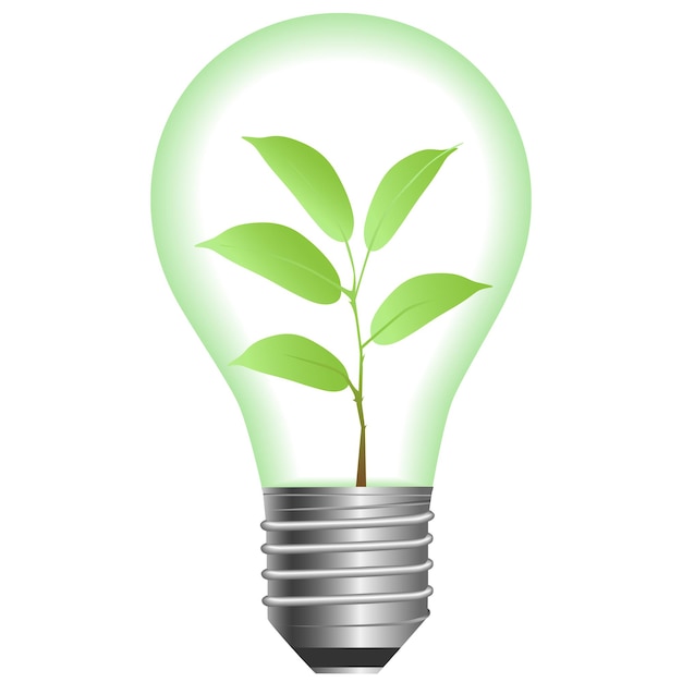 Vector plant in lamp on a white background . vector illustration