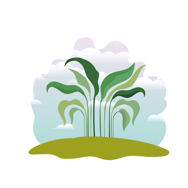 Vector plant in landscape isolated