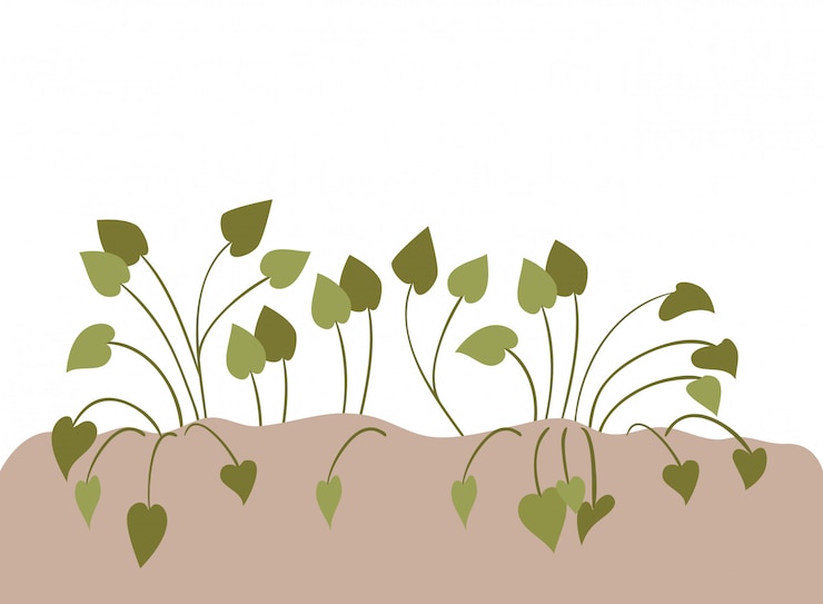 Vector 在風景中孤立的植物