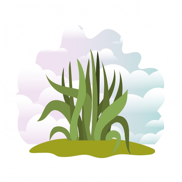 Plant in landscape isolated