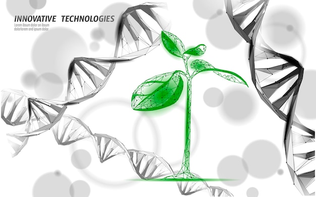 Plant leaf biotechnology abstract concept d render seedling tree leaves dna genome engineering