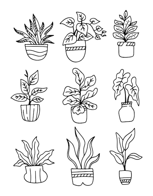 植物の葉の手描きのスケッチ