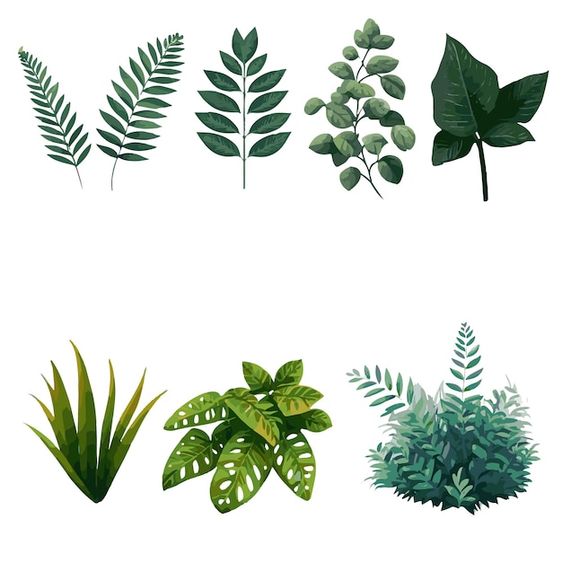 Plant and leaf vector