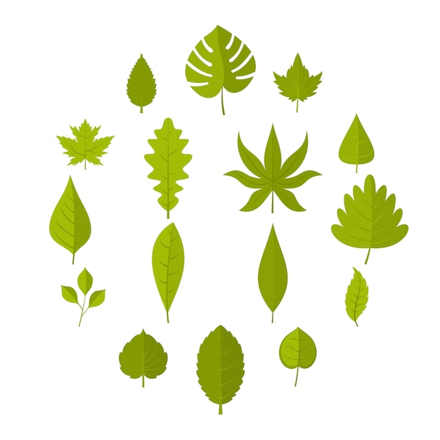 Vettore icone delle foglie della pianta messe nello stile piano