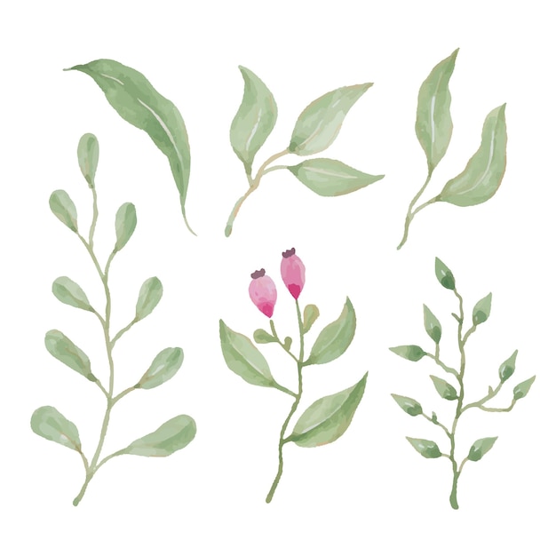 水彩絵の具で描いた植物の葉手描き水彩ベクトル イラスト グリーティング カード