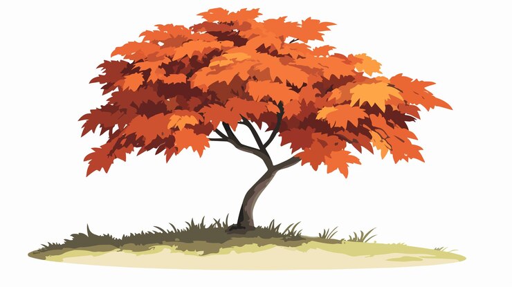 Vector plant maple tree in sunlight vector illustration