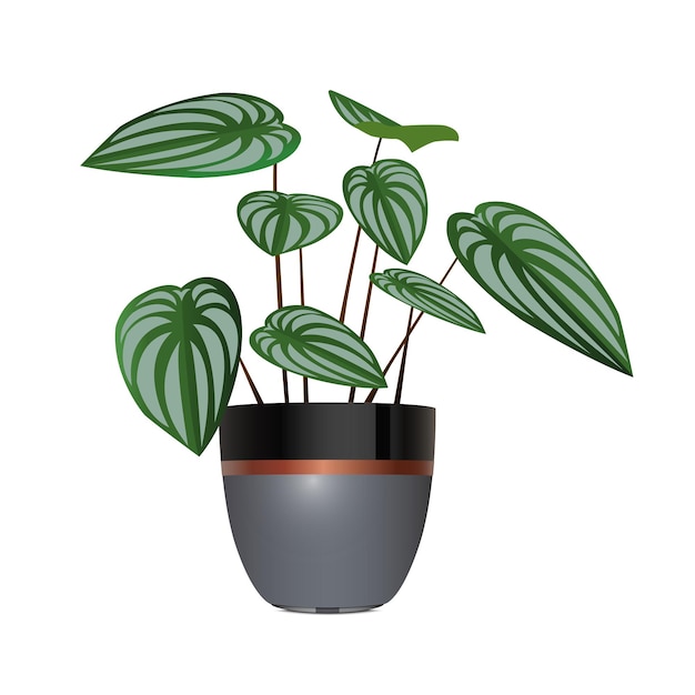 Plant met plantenbak vectorillustratie