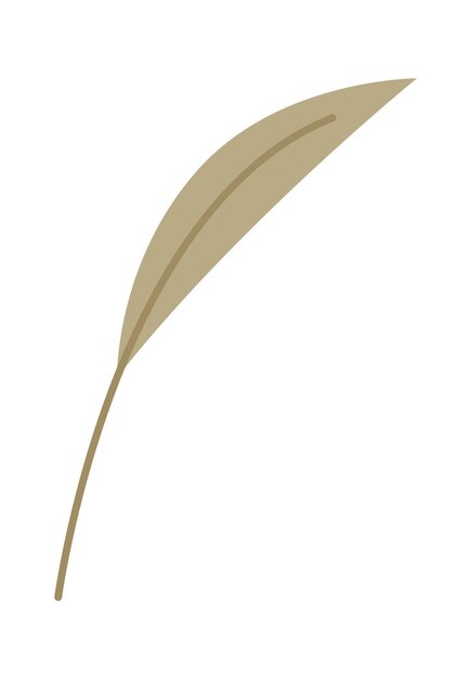 Plant narrow leaf flat illustration