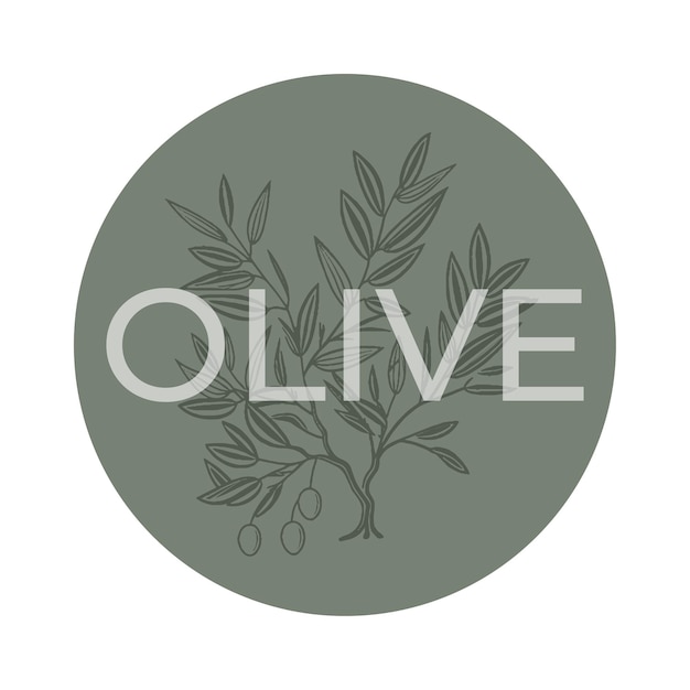 Plant olive branches isolated on white background sticker leaves olives vector hand drawn