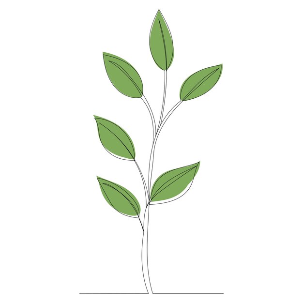 Plant outline in one line vector