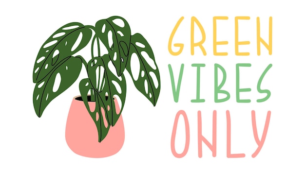 Plant phrase Trendy house plant and motivation quote green vibes only