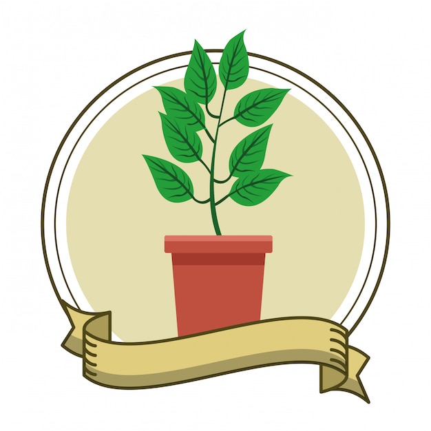 Vector plant pot cartoon