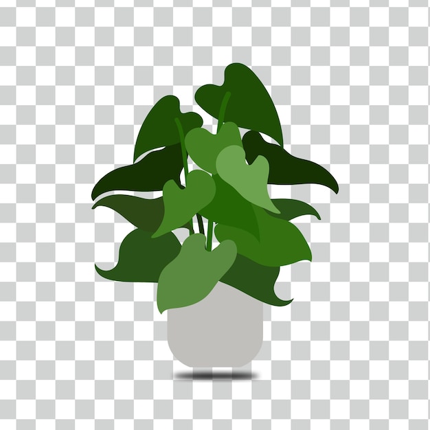 A plant in a pot on a checkered background