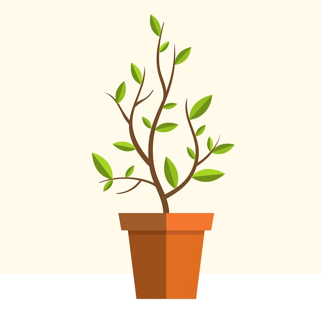 Plant in pot Decorative vector element Flat illustration