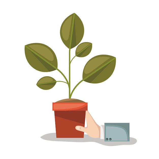 Vector plant pot and hand in white background