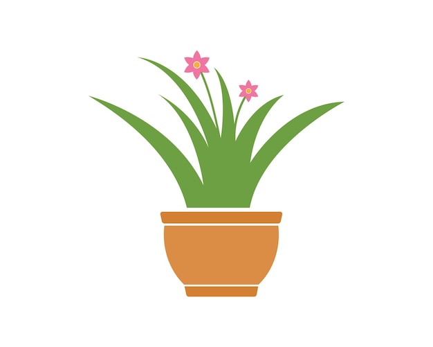 Plant in pot illustration vector template design