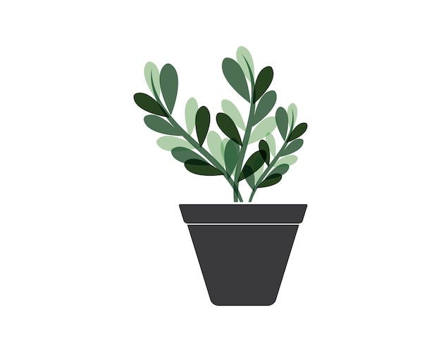 Plant in pot illustration vector template design