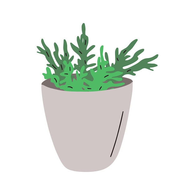 Vector plant pot. vector illustration of flower in a pot