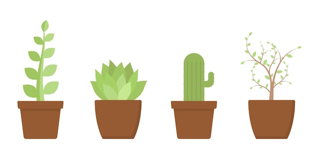 Plant in pot vector illustration plant for home decoration