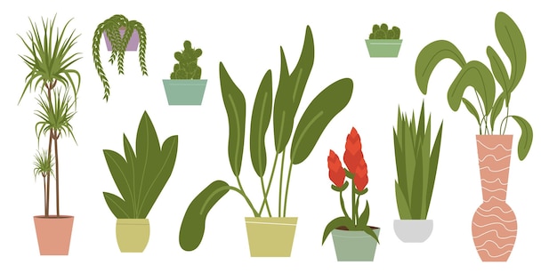 Plant in pot vector illustration set Cartoon flat different indoor potted decorative houseplants