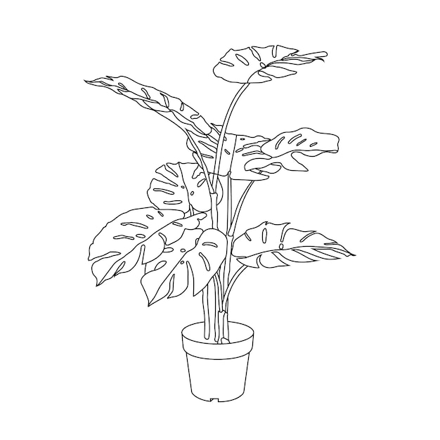 A plant in a pot with a leaf on it.