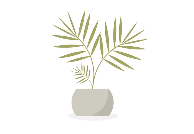 A plant in a pot with a palm leaf