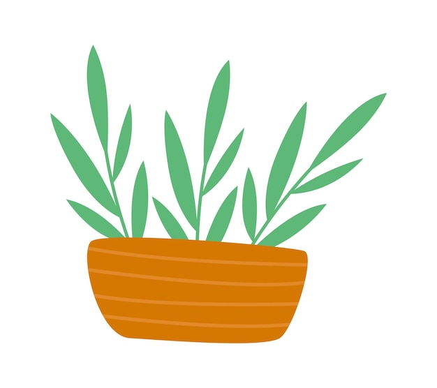 Plant In Pot