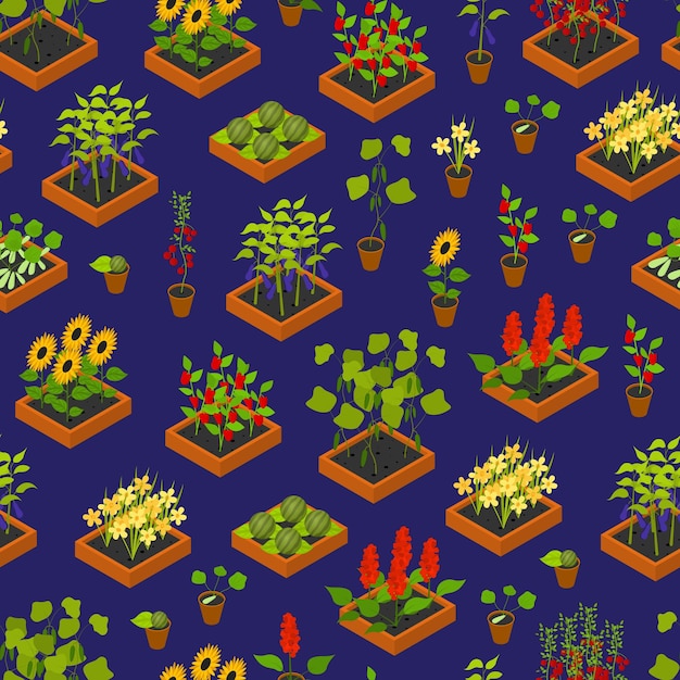 Plant Seedling and Elements Background Pattern Isometric View Vector