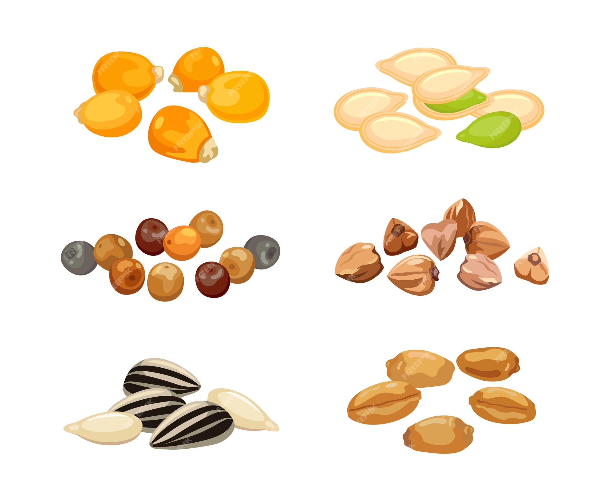 Premium Vector | Plant seeds cartoon illustration set. cereal grains,  chickpeas, corn, pumpkin, sunflower seeds isolated on white background.  flat vector collection for agriculture, nutrition and healthy diet concept