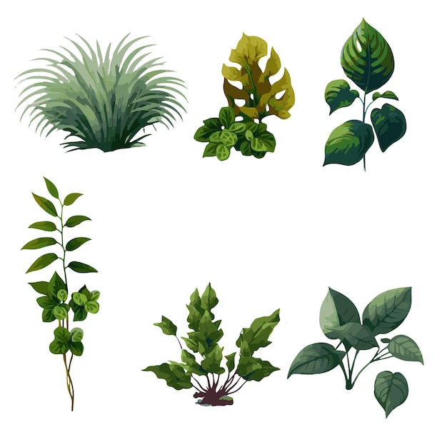 Plant set