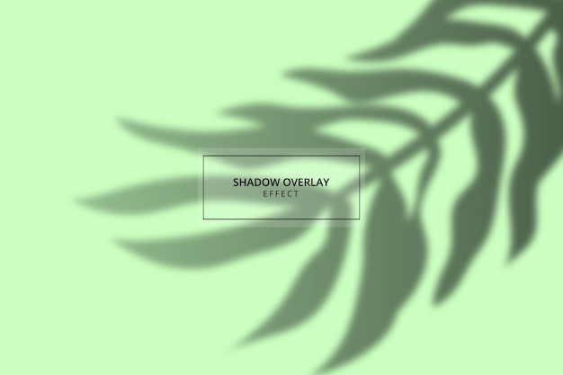 Vector plant shadow overlay effect