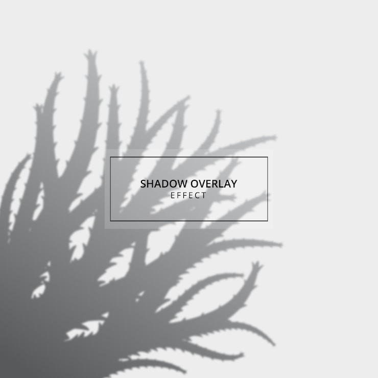 Vector plant shadow overlay effect