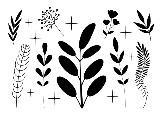 Vector plant silhouettes set isolated black elements decorative leaves branches flowers