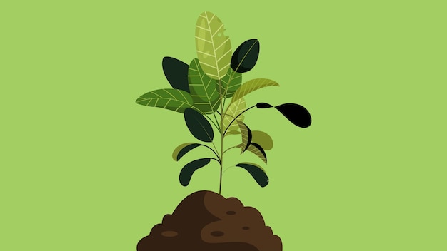 Plant in a soil isolated flat illustration