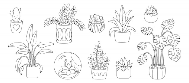 Plant and succulents, potted ceramic cartoon doodle line set. Black linear flat house indoor flower. House plants, cactus, monstera, aloe flowerpot. Interior decor collection. illustration