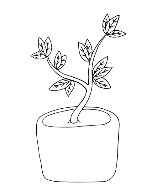 Plant trunk with leaves room tree for interior doodle linear cartoon