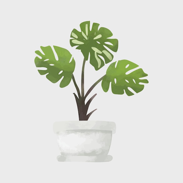 Vector a plant with green leaves in a white pot