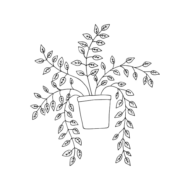 Vettore pianta con foglie in una pentola arredamento della stanza natura doodle cartone animato colorazione lineare