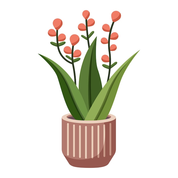 Plant with pink flowers in a pot