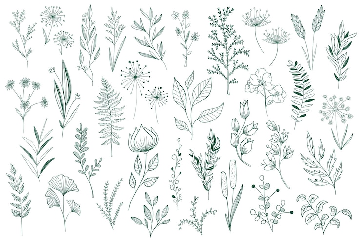 Vector planten 07