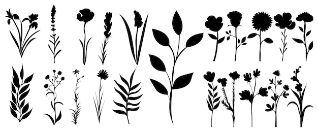 planten, bloemen instellen silhouet, op witte achtergrond, vector