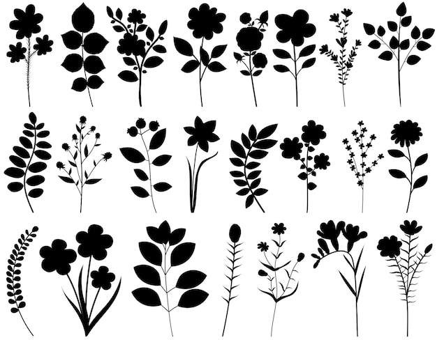 Planten bloemen silhouet set collectie geïsoleerde vector