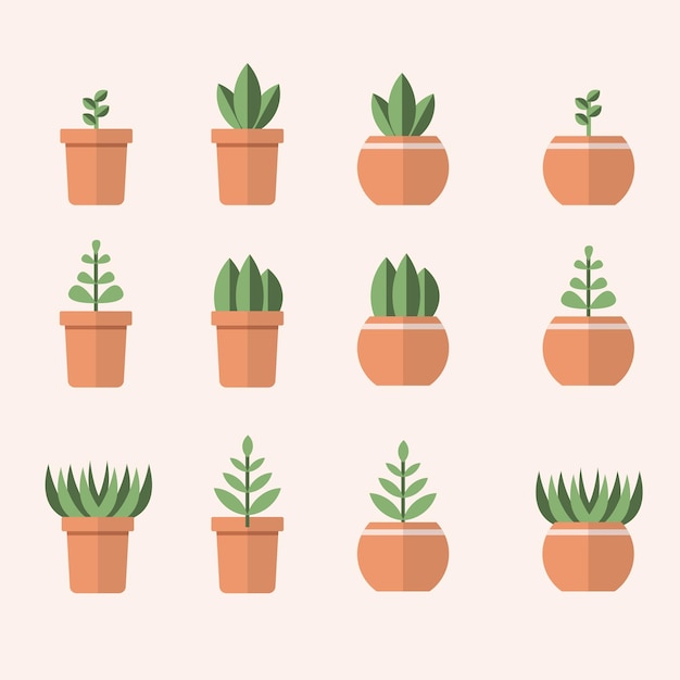 Planten die in potten groeien Vectorillustratie