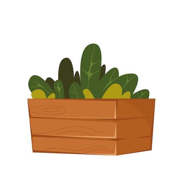 Planten in een houten kist huisplanten thuis tuinieren vector illustratie van bloemen