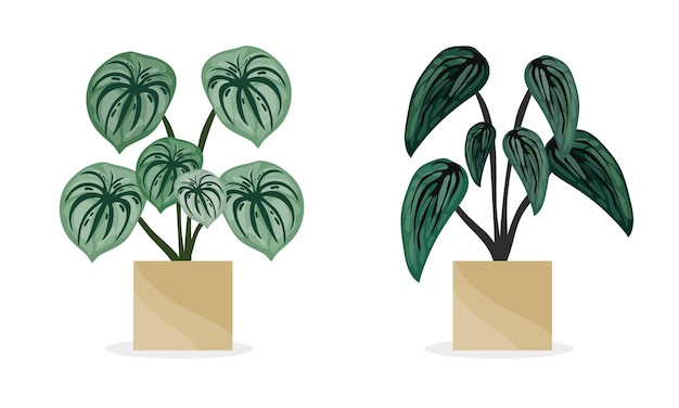 Vector planten in pot vector set