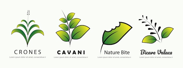 planten natuur vector set bundel