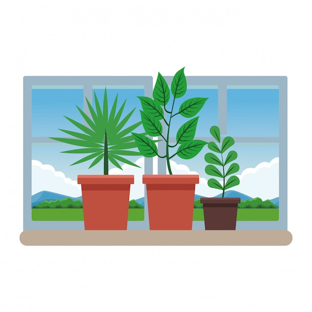 Vector planten pot cartoon