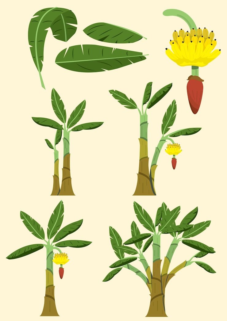 Vector planten