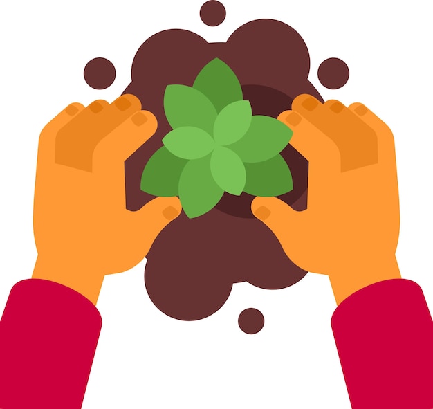 Planting flowers with hands isolated on transparent background